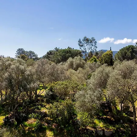 Domaine D'Arca - Aragon 11 - 4 Pers - « Au Jardin D'Arca » Apartamento Porto Vecchio