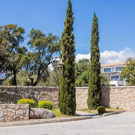 Domaine D'arca Vecchio - 