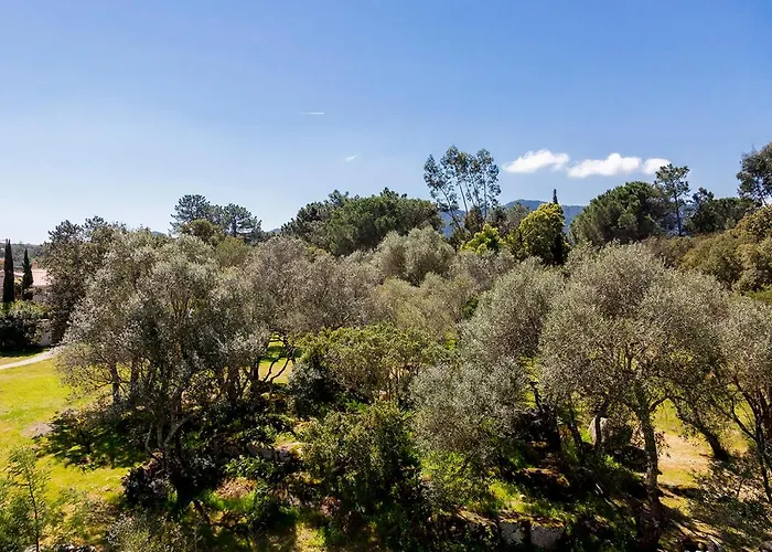 Domaine D'arca - Aragon 11 - 4 Pers -   Au Jardin D'arca Appartement Porto-Vecchio (Corsica)